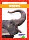 Noses - 9781641287036 by Jenna Lee Gleisner, 9781641287036