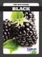 Black - 9781641289269 by Anna C. Peterson, 9781641289269