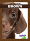 Brown - 9781641289320 by Anna C. Peterson, 9781641289320