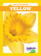 Yellow - 9781641289535 by Anna C. Peterson, 9781641289535