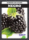 Negro (Black) (Spanish Edition) - 9781645270584 by Anna C. Peterson, 9781645270584
