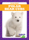 Polar Bear Cubs - 9781641287579 by Genevieve Nilsen, Clayton Hansen, 9781641287579