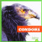 Condors - 9781641288194 by Jenna Lee Gleisner, Clayton Hansen, 9781641288194