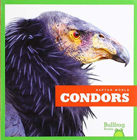 Condors - 9781641288194 by Jenna Lee Gleisner, Clayton Hansen, 9781641288194