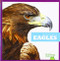 Eagles - 9781641288200 by Jenna Lee Gleisner, Clayton Hansen, 9781641288200