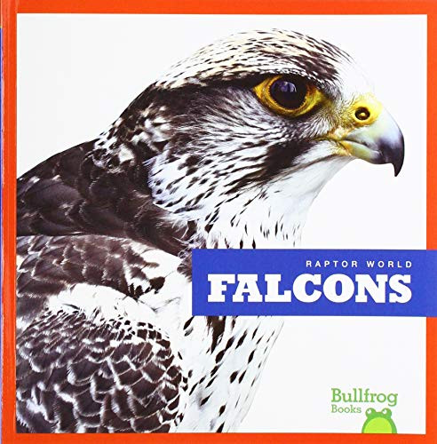 Falcons - 9781641288217 by Jenna Lee Gleisner, Clayton Hansen, 9781641288217