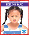 Feeling Mad - 9781645271543 by Amber Bullis, MLIS, 9781645271543