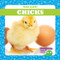 Chicks - 9781641281157 by Tim Mayerling, Dana Fleming, 9781641281157