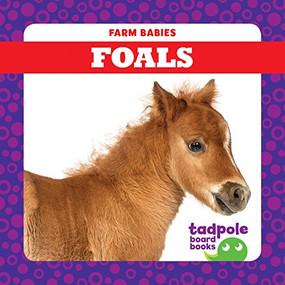Foals - 9781641281164 by Tim Mayerling, Dana Fleming, 9781641281164