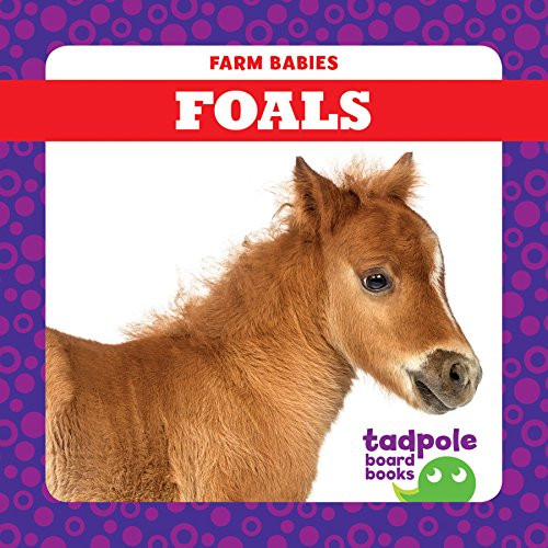 Foals - 9781641281164 by Tim Mayerling, Dana Fleming, 9781641281164