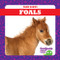 Foals - 9781641281164 by Tim Mayerling, Dana Fleming, 9781641281164