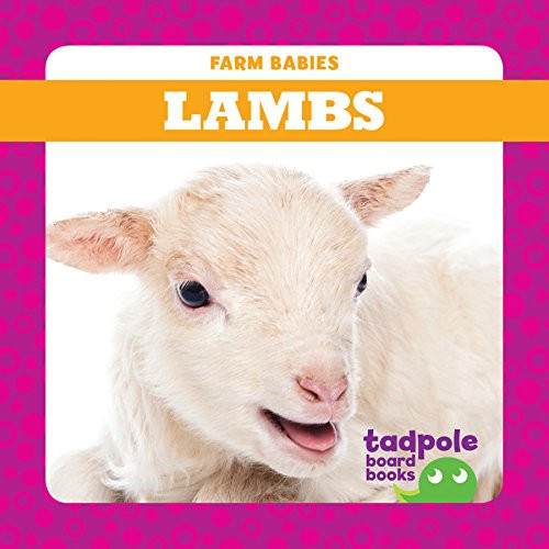 Lambs - 9781641281171 by Tim Mayerling, Dana Fleming, 9781641281171