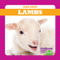 Lambs - 9781641281171 by Tim Mayerling, Dana Fleming, 9781641281171