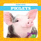 Piglets - 9781641281188 by Tim Mayerling, Dana Fleming, 9781641281188