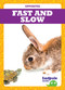 Fast and Slow - 9781641281201 by Erica Donner, 9781641281201