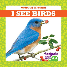 I See Birds - 9781641281225 by Tim Mayerling, Dana Flemming, 9781641281225