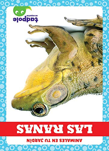 Las ranas (Frogs) (Spanish Edition) by Genevieve Nilsen, 9781645272618