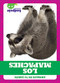Los mapaches (Raccoons) (Spanish Edition) by Genevieve Nilsen, 9781645272731