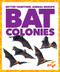 Bat Colonies by Karen Latchana Kenney, 9781641288439