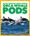 Orca Whale Pods by Karen Latchana Kenney, 9781641288552