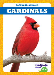 Cardinals - 9781645270942 by Genevieve Nilsen, 9781645270942