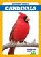 Cardinals - 9781645270942 by Genevieve Nilsen, Dana Fleming, 9781645270942