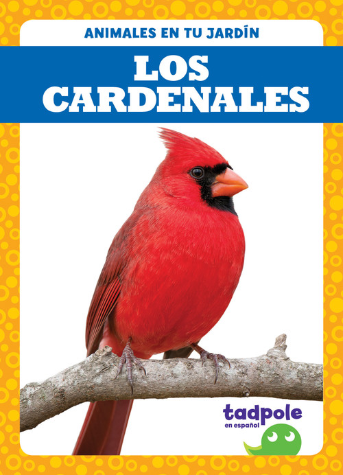 Los cardenales (Cardinals) - 9781645272687 by Genevieve Nilsen, 9781645272687