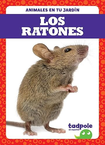 Los ratones (Mice) (Spanish Edition) - 9781645272809 by Genevieve Nilsen, 9781645272809