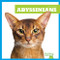Abyssinians by Cameron L. Woodson, 9781645274438