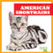 American Shorthairs - 9781645274452 by Cameron L. Woodson, 9781645274452