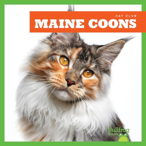Maine Coons by Cameron L. Woodson, 9781645274490
