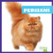 Persians - 9781645274513 by Cameron L. Woodson, 9781645274513