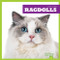 Ragdolls - 9781645274537 by Cameron L. Woodson, 9781645274537