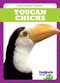 Toucan Chicks by Genevieve Nilsen, Dana Fleming, 9781645275046