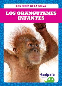 Los orangutanes infantes (Orangutan Infants) (Spanish Edition) by Genevieve Nilsen, 9781645276616