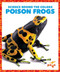 Poison Frogs by Alicia Z. Klepeis, Dana Flemming, 9781645275862