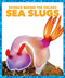 Sea Slugs - 9781645275893 by Alicia Z. Klepeis, Dana Flemming, 9781645275893