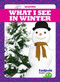 What I See in Winter by Danielle J. Jacks, Dana Fleming, 9781645275169