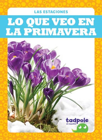 Lo que veo en la primavera (What I See in Spring) (Spanish Edition) by Danielle J. Jacks, 9781645276401