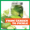 From Garden to Pickle by Penelope S. Nelson, Dana Flemming, 9781645275350