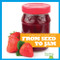 From Seed to Jam by Penelope S. Nelson, Dana Flemming, 9781645275381