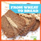 From Wheat to Bread by Penelope S. Nelson, Dana Flemming, 9781645275442