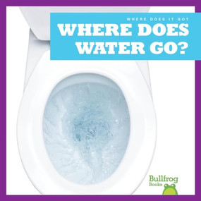 Where Does Water Go? by Charlie W. Sterling, Dana Flemming, 9781645275565