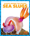 Sea Slugs - 9781645275909 by Alicia Z. Klepeis, Dana Flemming, 9781645275909
