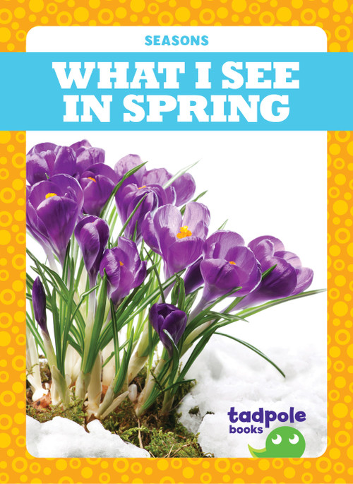 What I See in Spring - 9781645275114 by Danielle J. Jacks, 9781645275114