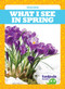 What I See in Spring - 9781645275114 by Danielle J. Jacks, Dana Fleming, 9781645275114