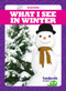 What I See in Winter - 9781645275176 by Danielle J. Jacks, Dana Fleming, 9781645275176