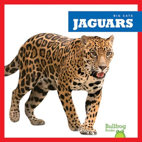 Jaguars - 9781645277217 by Marie Brandle, 9781645277217