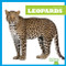 Leopards - 9781645277231 by Marie Brandle, 9781645277231
