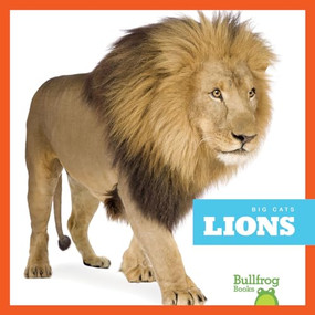 Lions - 9781645277255 by Marie Brandle, 9781645277255